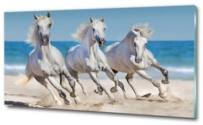Üvegkép White horse beach osh-95257914