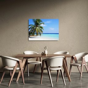 Pálmafák a strandon képe (üvegen) (70x50 cm)