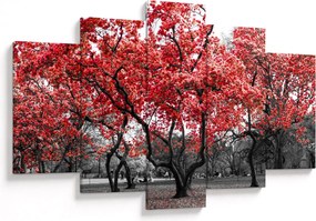 Kép - vörös fák, Central Park, New York (150x105 cm)