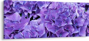 Lila virágok képe (120x50 cm)