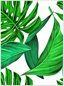 Poszterek 100x135 Zamatos Monstera Trópusok