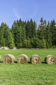 Poszter 20x30cm Szénakazalok a fűben, Assaf Frank