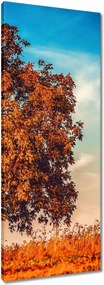 Vászonkép 40x100 Őszi színek Tájkép