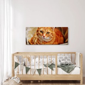 Egy fekvő macska képe (120x50 cm)