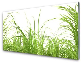 Akrilkép Grass Nature Plant 100x50 cm 2 fogas