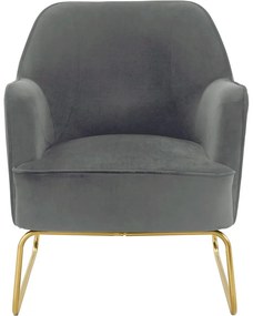 Szürke bársony fotel Joshua - Støraa