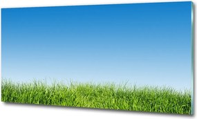 Fotótapéta falra edzett üveg Levendula 125x50