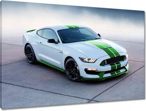 Våszonkép 90x60 Mustang Ford Autó