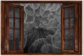 Poszterek 60x40 Pitypang Virág Virágok