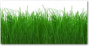Üvegpanel konyhába Fű 140x70 cm Ragasztó