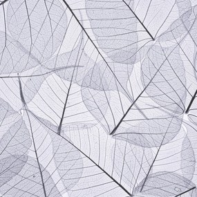 Poszter 30x30cm Csontváz levelek 2, Assaf Frank