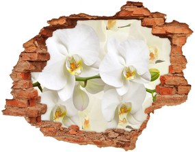 Lyuk 3d fali matrica Orchidea nd-c-123330197