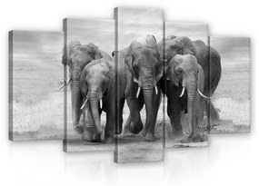 Vászonkép 5 darabos, Elefántok 100x60 cm méretben