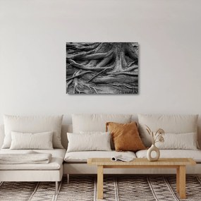 Üveg kép - A fa gyökerei (70x50 cm)