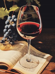 Poszter 60x80cm Történelem csokor