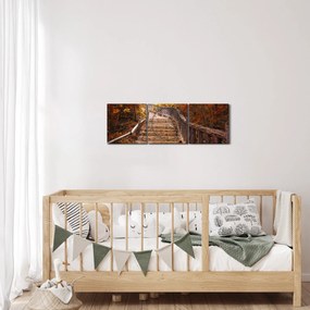 Kép - Lépcsők a természetben ősszel (órával) (90x30 cm)