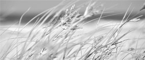 Kép - Strandfű (120x50 cm)