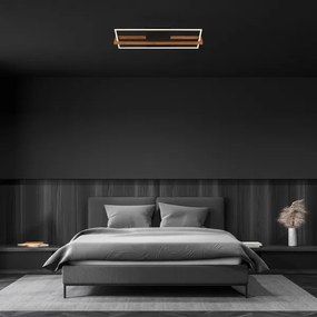 Briloner 3777-015 - LED mennyezeti lámpa FRAME LED/21W/230V 3000K