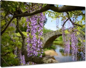 Festmények 100x70 Japán Orient Buddhizmus