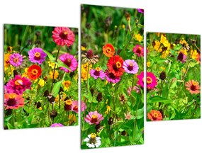 Réti virágok képe (90x60 cm)