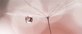 Kép - Egy csepp harmat (120x50 cm)
