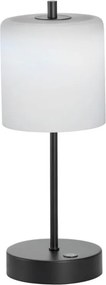 Fischer&Honsel Riva 850291 Asztali lámpa 1x2W/LED 3000K/4750K/6500K 240lm IP20