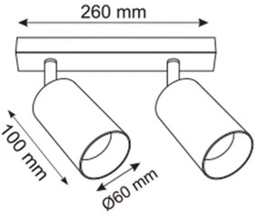 Zuma Line 2211BD-2-BK - Spotlámpa REN 2xGU10/50W/230V fekete/szürke