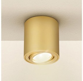 Brilagi - LED RGBW dimmelhető spotlámpa MIA 1xGU10/30W/230V 84x80 mm arany