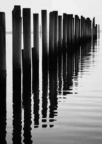 Poszter 21x29,7cm Víz és fa ritmus