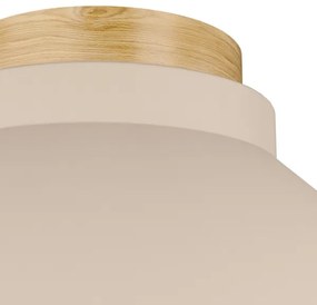 Eglo 900736 - Mennyezeti lámpa MOHARRAS 1xE27/40W/230V