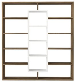 könyvespolc Ample - Walnut, White