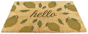 Kókuszrost lábtörlő 40x60 cm Hello Lemons – Artsy Doormats