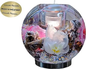 Üveg Gyertyatartó Orchideákhoz, Fagyos Mintázattal, Led Lámpával És Hagyományos Tea Mécses Tartóval, Ajándéknak