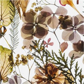 Fali fotótapéta Flizelina a konyhába Természetes kompozíció 250x250 Ragasztó