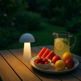 Rabalux 76037 - LED érintős dimmeres kültéri lámpa MIREO 1,5W/5V IP44 1200 mAh USB fehér