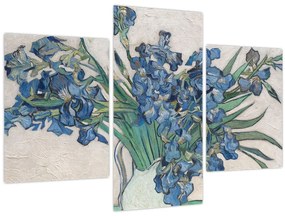 Kép - Vincent van Gogh, Irises, reprodukciók (90x60 cm)