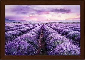 Poszter Keret Fa Tájkép Mező Ültetvény Virágok Levendula Lila 60x40