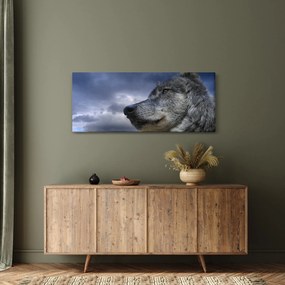 Kép - Farkas feje (120x50 cm)