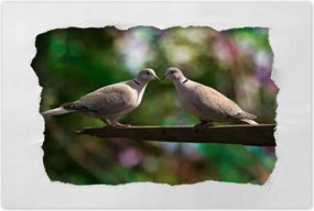 Poszterek 60x40 Szerelem Érzés Párkapcsolat