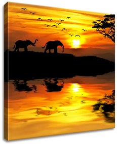 Gario Vászonkép Afrika Méret: 100 x 40 cm