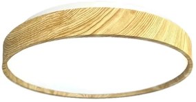 LED Dimmelhető mennyezeti lámpa OPAL LED/48W/230V 3000-6500K + távirányítás