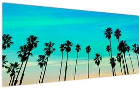 Kép - Kalifornia (120x50 cm)