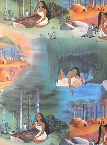 Pocahontas disney fali tapéta 50277-965