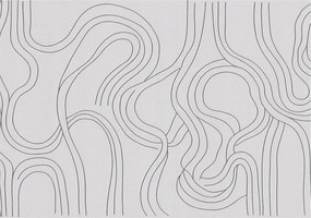 Flizelina Dekoratív Fotótapéta Hálószobába Organikus vonalak 208x146 Ragasztó