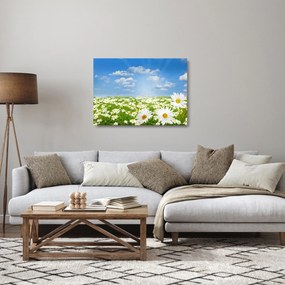 A virágzó rét százszorszépekkel képe (üvegen) (70x50 cm)