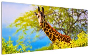 Egy kép egy zsiráfról Afrikában (120x50 cm)