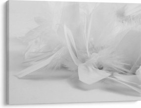 Kép - Tollak (70x50 cm)