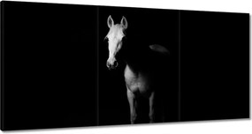 Vászonkép 120x60 Ló az árnyékban
