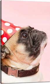 Ifjúsági Vászonkép Mopsz Születésnap Állatok Természet Kutya 60x100