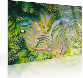 A rizsföldek képe madártávlatból (üvegen) (70x50 cm)
